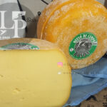 GOUDA ROSDA
