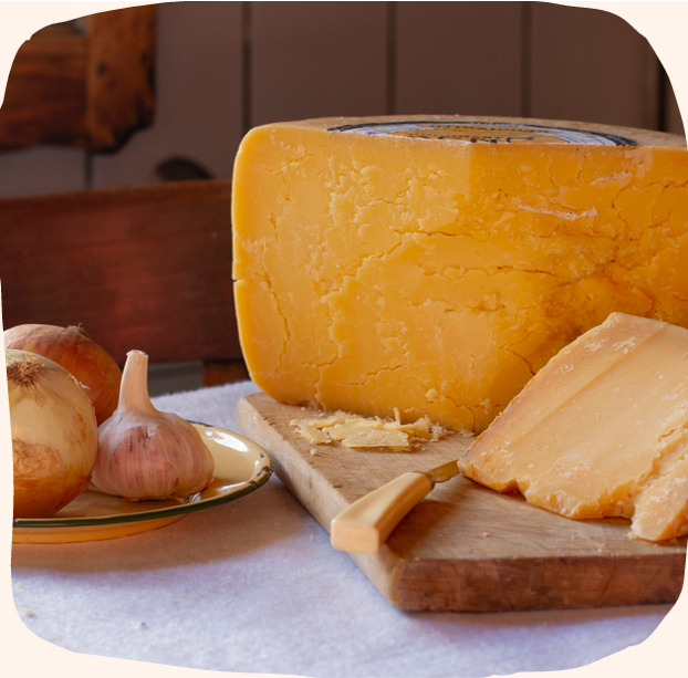 reggiano REGGIANO TRADICIÓN INZA - Imagen 1